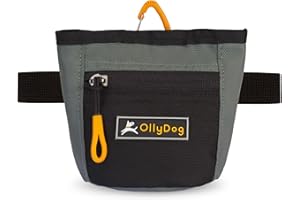 OllyDog Goodie Treat Bag, Dog Treat Pouch, Waist Belt Clip for Hands-Free Training, Magnetic Closure, Dog Training and Behavior Aids, Three Ways to Wear (Juniper)