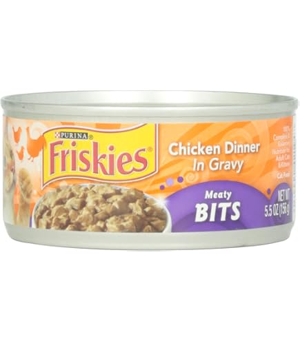 amazon dog food bowl to slow down The Slowdown Bowl Bundle: Buy 3 And Save – Should We Go?