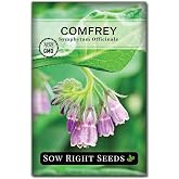 Sow Right Seeds - Comfrey Seed for Planting Healing Medicinal Herb Garden | Plant non-GMO heirloom variety for root remedies and herbal tea gardening. Herbs for growing outdoors or indoors hydroponics.