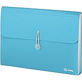 Accordion File Organizer 13 Pocket Expanding File Folder with Labels, Accordion File Organizer Letter Size Letter A4 Paper for Receipts, Bills and Documents 13" x 9.5” –by Enday