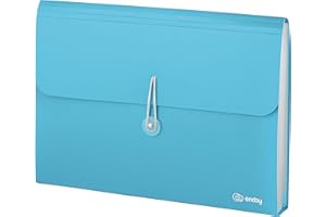 Accordion File Organizer 13 Pocket Expanding File Folder with Labels, Accordion File Organizer Letter Size Letter A4 Paper for Receipts, Bills and Documents 13" x 9.5” –by Enday