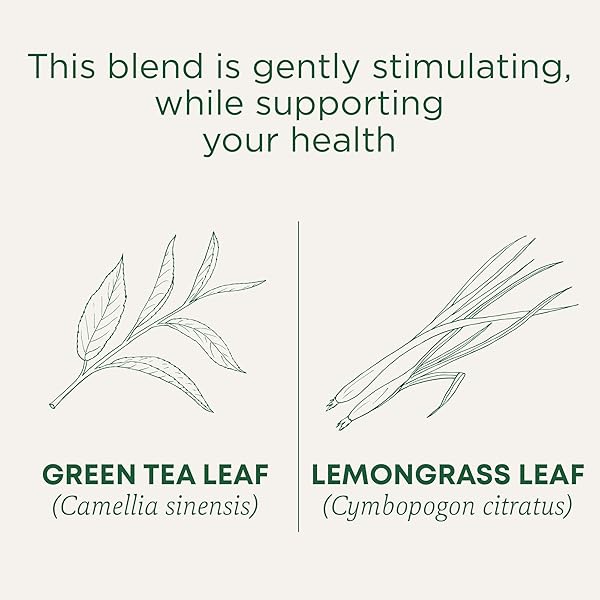 TRADITIONAL MEDICINALS TEA, ORGANIC GREEN TEA LEMONGRASS, 16 TEA BAGS