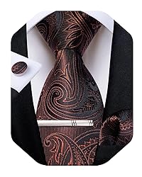 DiBanGu Silk Paisley Ties for Men Woven Necktie and