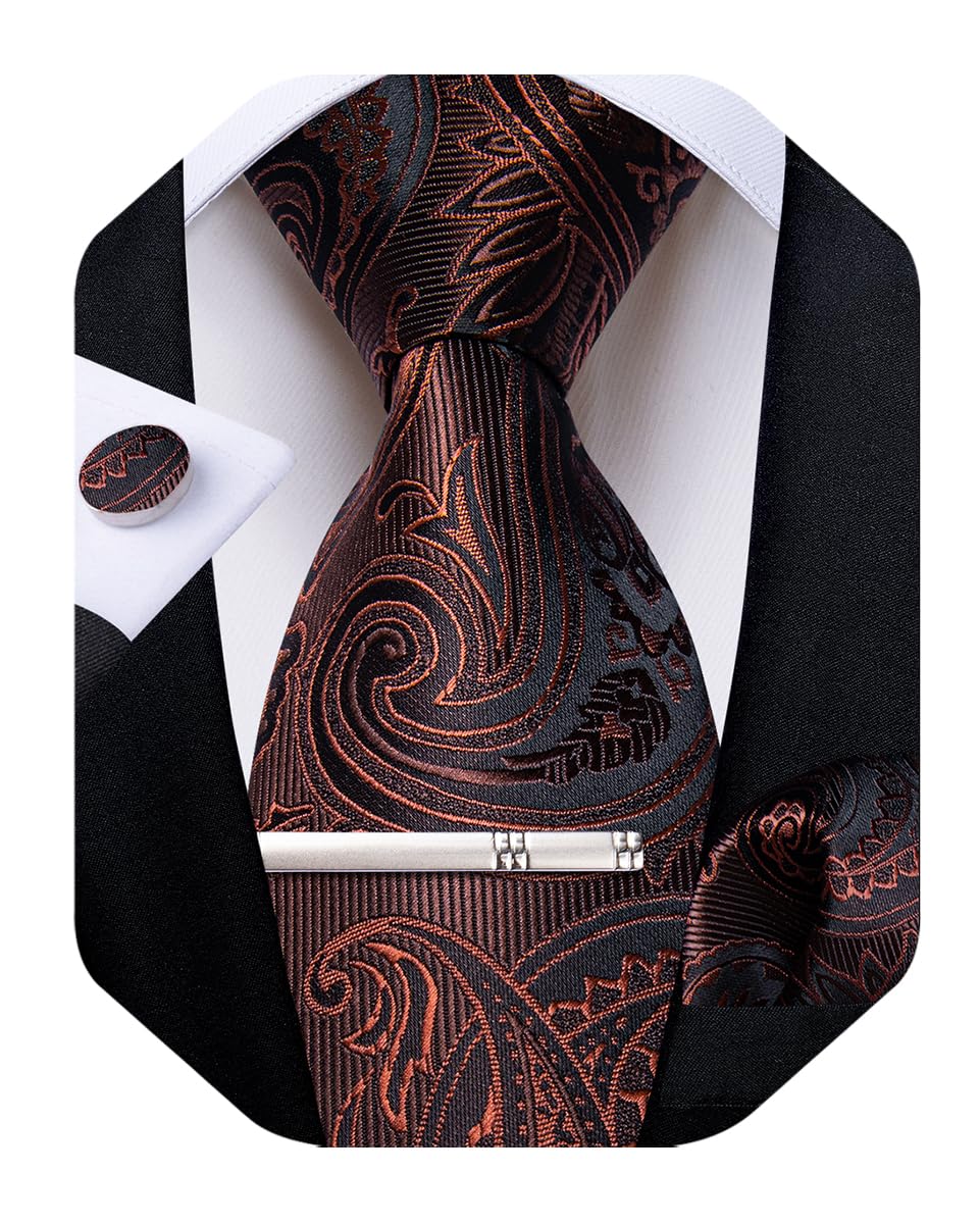 DiBanGu Silk Paisley Ties for Men Woven Necktie and