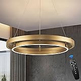 LED Ring Chandelier Gold Round Chandelier 30W Entry