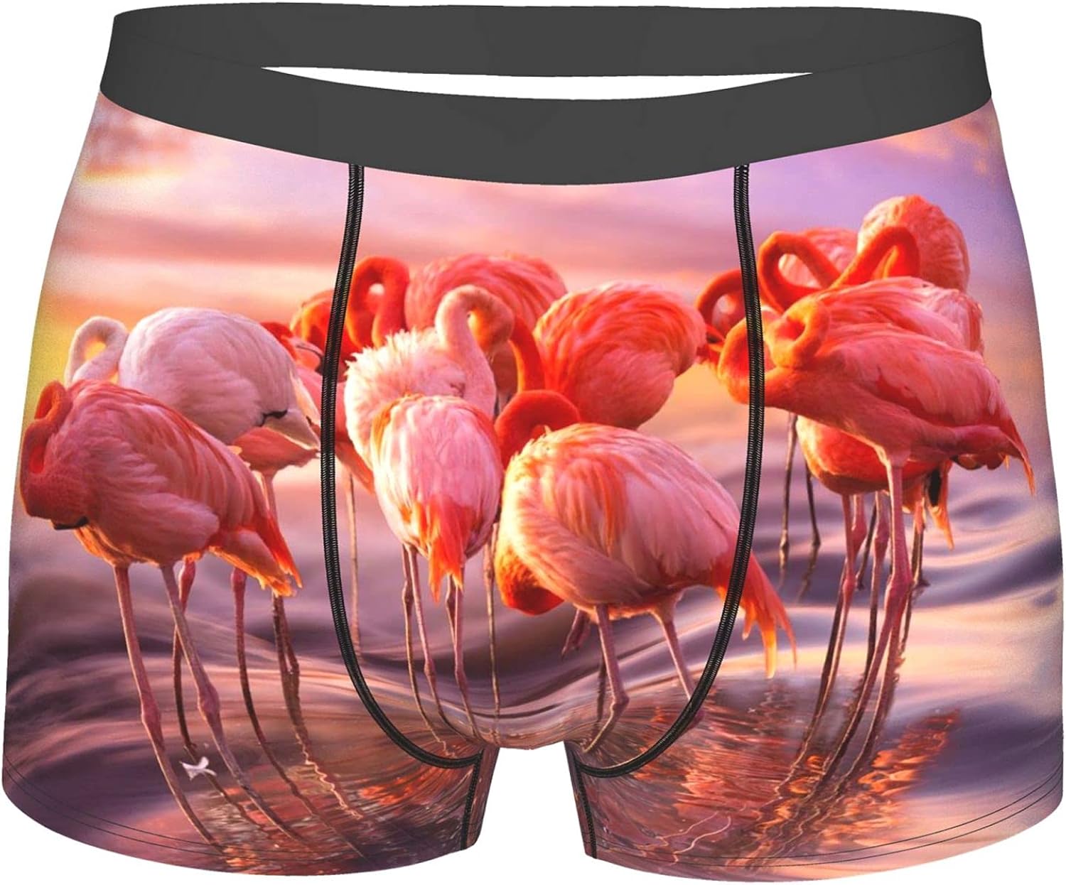 Jreergy Mens Boxer Briefs Flamingos By Adrian Bord Breathable Underwear