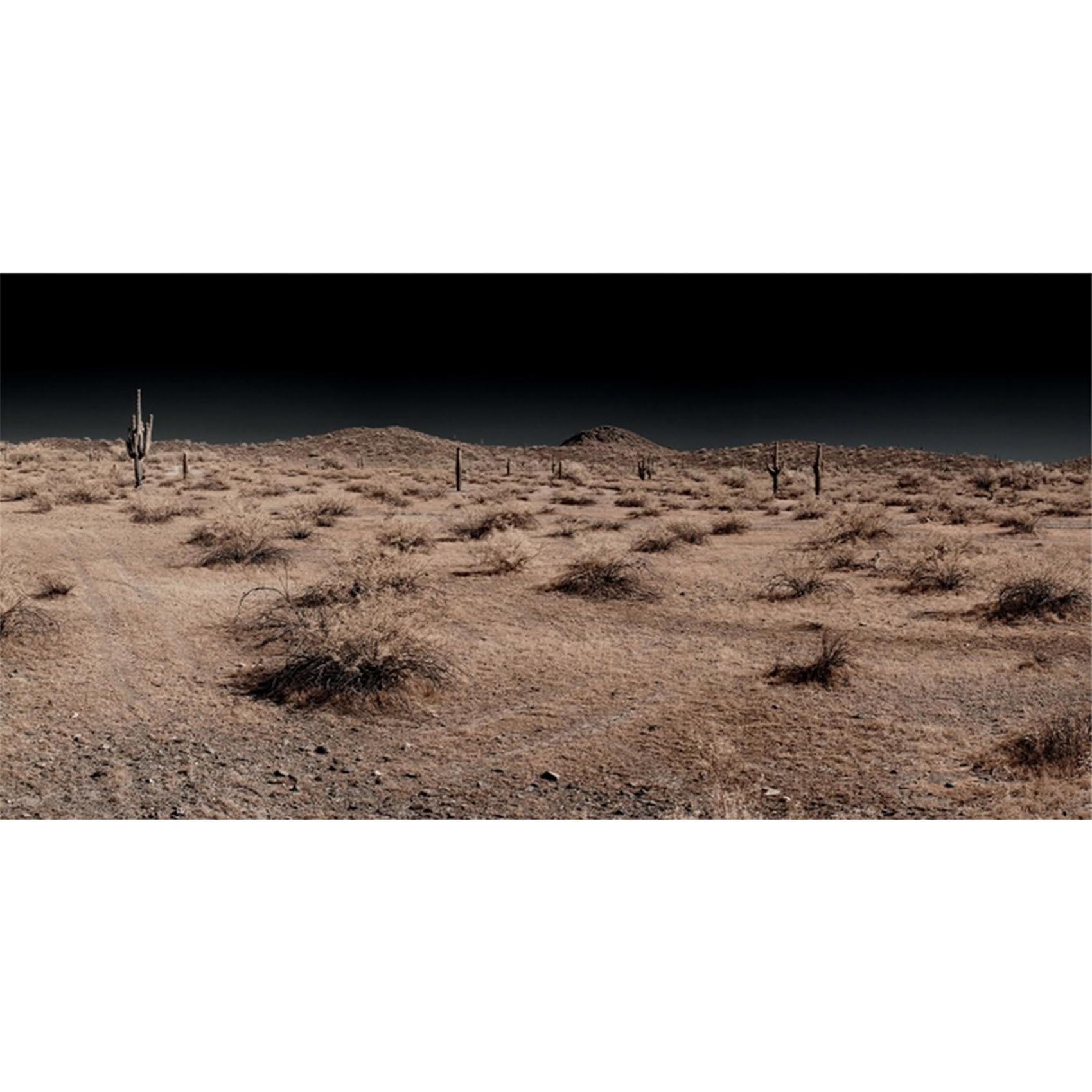 MIRRORANG 76x30cm Terrarium Background Night Cactus Gobi Desert Reptile Habitat Background Vinyl Background