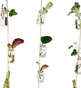 VBgree Wall Hanging Propagation Station - Glass Planter for Indoor House Plants | Rustic Glass Wall Plant Holder Terrarium for Air Plants and Cuttings Water Propagation | Cute Window Plants Hanger