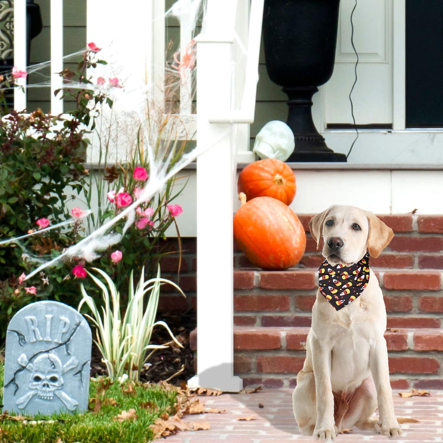 Whaline 5 Pack Halloween Dog Bandanas, Triangle Pet Scarfs Washable Pet Neckerchief Dog Bibs, Pumpkin, Ghost, Candy Corn and Bones Pet Bandanas : Pet Supplies