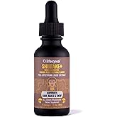 Lifecykel - Shiitake Mushroom Extract with Kakadu Plum - Advance Organic Mushroom Supplement for Hair, Nail and Skin - Potent Vitamin C Immune Boost for Adults - 1 Fl Oz