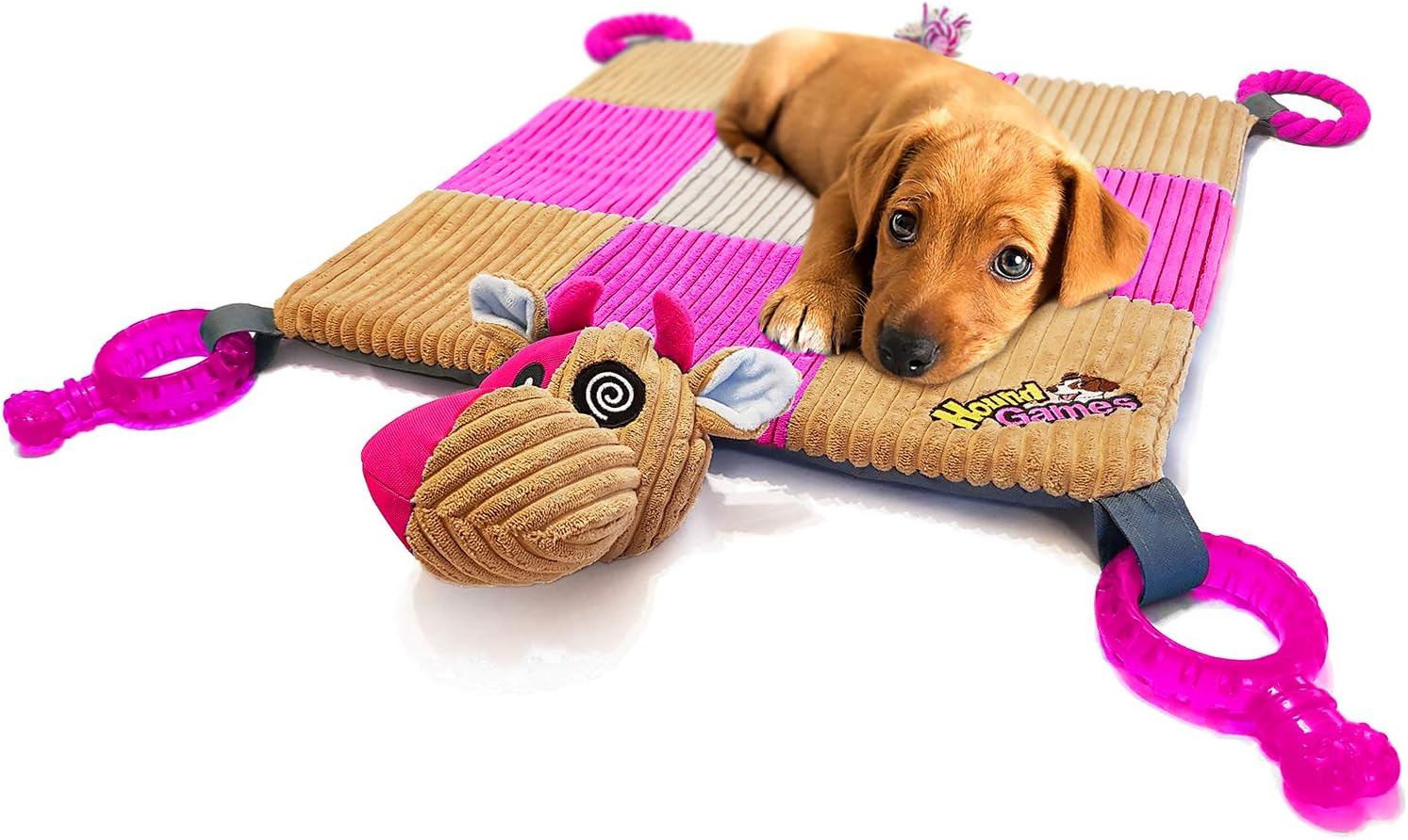 i am a good boy i like my chew toy