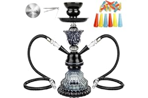 LYTFEI 2 Hose Hookah Set - 11"Small Shisha Hookah Set with Glass Vase, Ceramic Bowl, Leather Hose, Coal Tongs Ashtray,Hookah Foil and 20 Hookah Tips (Black)