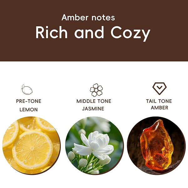 CORROY CAR AIR FRESHENER NATURAL ESSENTIAL OIL SCENT, ODOR ELIMINATOR AND PURIFIER, SUN VISOR CLIP AIR FRESHENER FOR CAR(STARTER/AMBER)