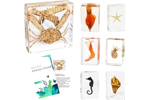 MGRLFBL 7 Marine Life Specimens Ocean Animals in Resin,Large Crab Taxidermy with Information Cards,Aquatic Insect Specimen Bug Supplies,Marine Biology Gifts,Starfish Collection Aquarium Coastal Décor (Ocean)
