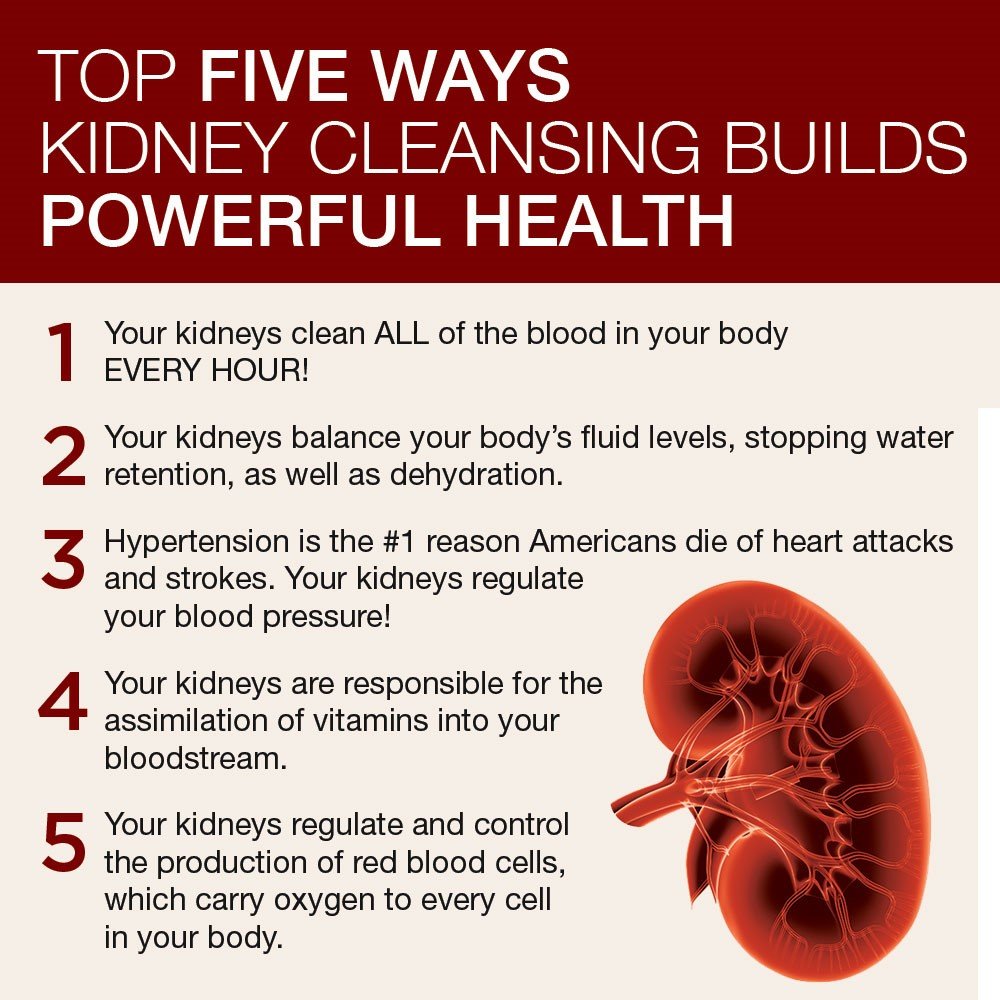 How To Keep Your Kidneys Healthy Webmd