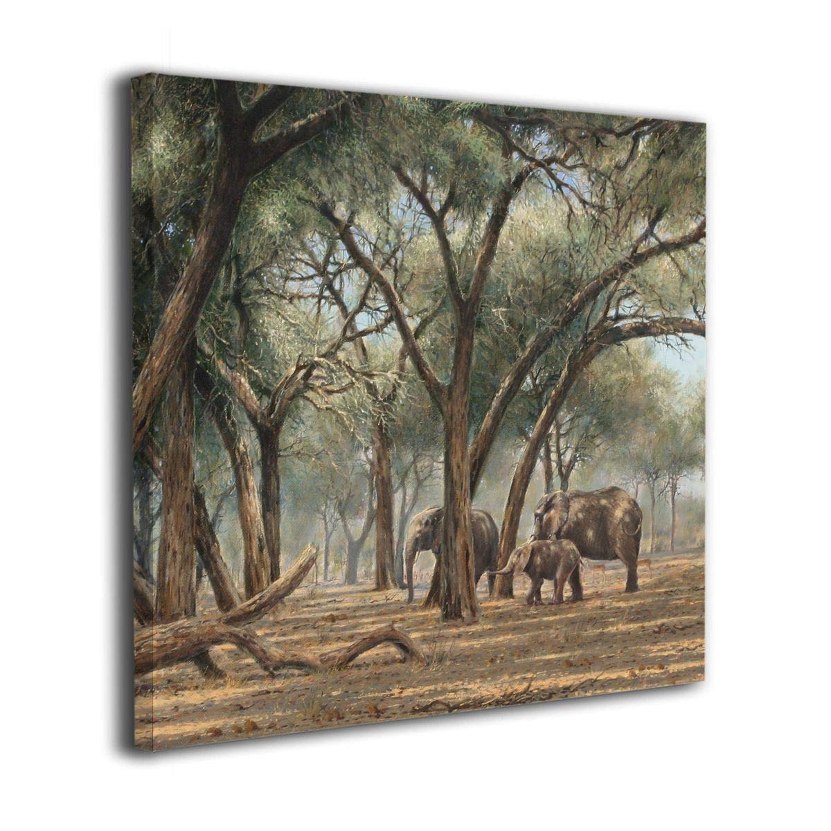 jbl t26c headphone price