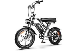 AMYET V9-G60 Peak 1500W Ebike, 48V 20Ah(960WH) Removable Battery, 72Miles &32MPH,20" Fat Tire Dirt Bike,7 Speed Gears,Dual Shock Absorber, Adults Electric Bike for Mountains, Snow, Sand, Road