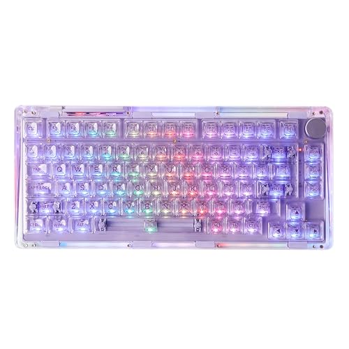 KiiBoom Phantom 81 75% Transparent Mechanical Gaming Keyboard, Hot ...