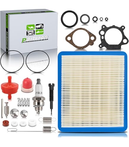 Briggs & Stratton Carburetor Kit 498260 | Aux Petits Moteurs Du Québec - Foto 7