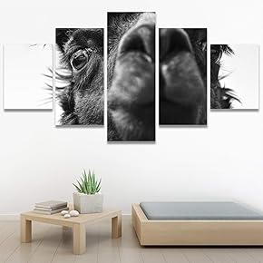 SIGNWIN 5 Panel Canvas Wall Art Modern Art...