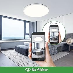 hepside 15.8INCH 2Pack Big Dimmable Flush Mount