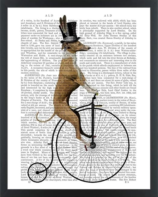penny farthing bike amazon