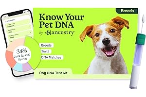 ANCESTRYDNA Ancestry Dog DNA Test: at-Home Testing, Breed Identification & Trait Insights, Canine Genetics Analysis, Unique Pet Parent Gift, New Puppy Essentials