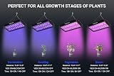 DragonLight BW1000 LED Grow Light 3m Cable Full Spectrum Veg Bloom Switch view 5