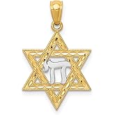 14k Yellow Gold and Rhodium Star of David Pendant with Hebrew Chai Symbol, Spiritual Jewish Jewelry for Men and Women, Faith and Life Necklace, Religious Gold Charm, Cultural Hebrew Pendant