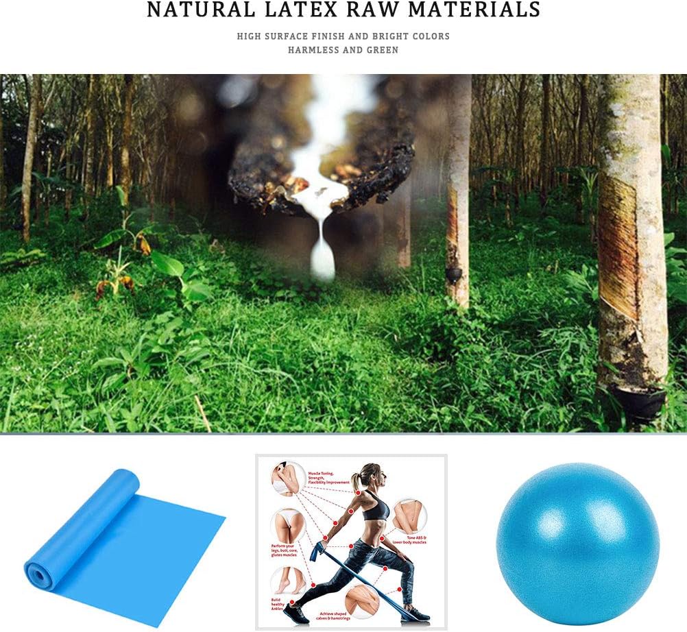 Lanjue Resistance Band & Exercise Ball for Barre，Yoga Bands Pilates