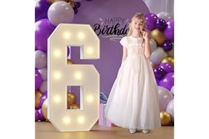 Rielmox Marquee Numbers, 4FT Number 6 Light Up Number, Marquee Numbers 4 Feet Tall for Birthday Decorations Party Decor White Large Anniversary Decoration for Boys Girls Men Women