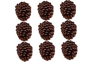 CATIEBYE 9pcs Natural Real Pine Cones for Decoration Large DIY Craft Materials Christmas Holiday Rustic Table