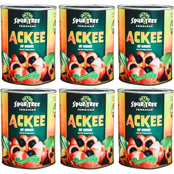 Amazon.com : JCS Jamaican Country Style Ackees In Brine, 19