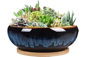 SQOWL 7 Inch Round Ceramic Succulent Planter Pot Drip Glazed Shallow Planter with Drainage Bamboo Tray for Indoor Plants