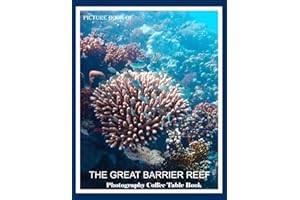 THE GREAT BARRIER REEF: Nature's Underwater Symphony of Color and Life