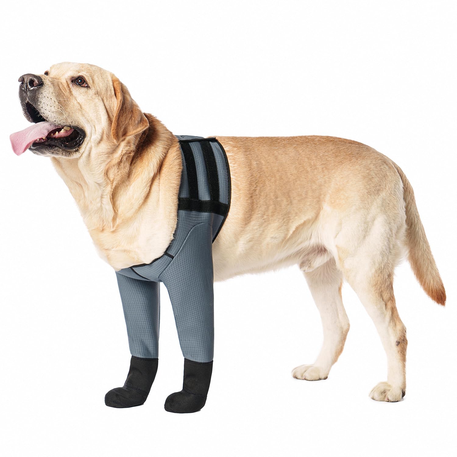 Photo 1 of yrenoer Dog Socks & Boots - Waterproof Anti-Licking Paw Protectors with Non-Slip Bottom, Post-Surgery Recovery Sleeves for Wound Protection (Grey, 2XL)