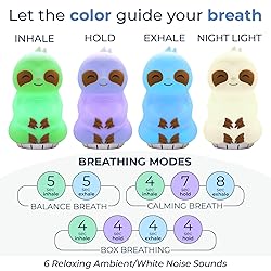 Mindsight 'Breathing Buddha' Guided Visual