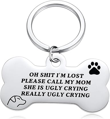 dog collar keychain