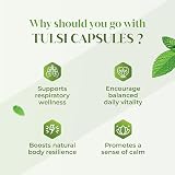 H&C Tulsi Holy Basil Capsules 900mg - 120 Count for Immunity & Wellness view 3