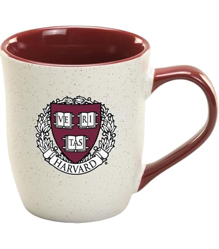 Amazon.com | The Fanatic Group West Virginia University 16oz. Two-Pack Ceramic  Mug Set - Navy: Coffee Cups & Mugs