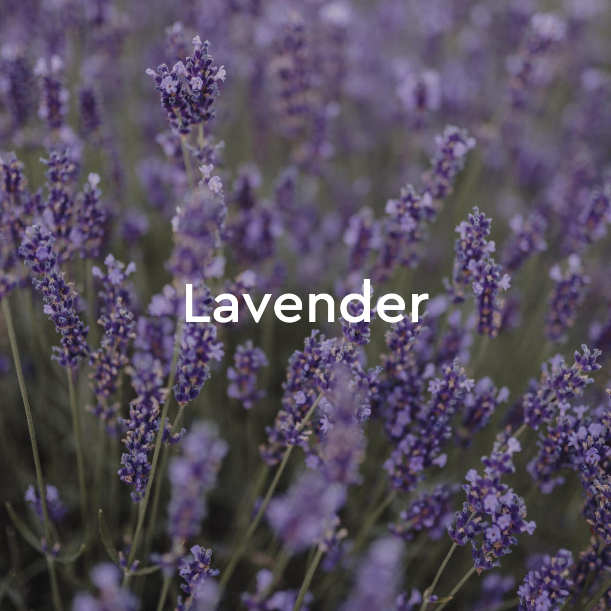Kneipp Relaxing Lavender Aromatherapy Bubble Bath - Good for Relaxation - Vegan - 13.5 fl oz - Up to Eight Baths