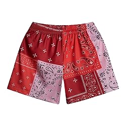 DIOTSR Mens Paisley Graphic Basketball Shorts