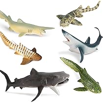 Amazon.com: Lana Toys 6Pcs Realistic Wild Marine Animal
