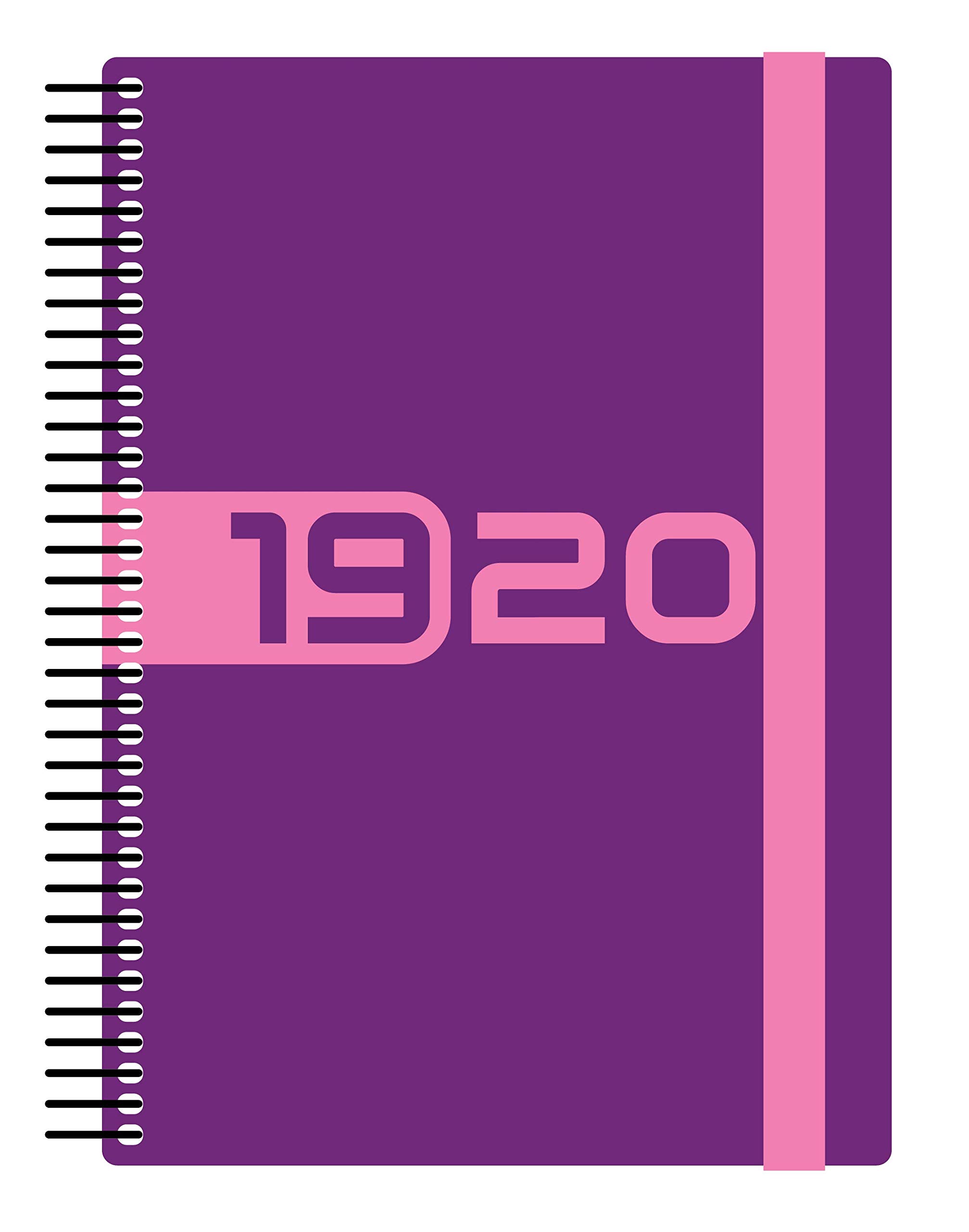 Collins Delta Plus A5 Week to View 2019-2020 Diary - Purple