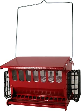 Amazon Com Audubon Seeds N More Metal Hopper Bird Feeder Model