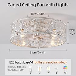 Garwarm 20" Caged Ceiling Fan With Light, Flush