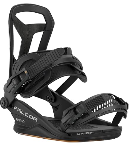 スノーボード signal yusaku152 DAYZE union force noma Amazon.com