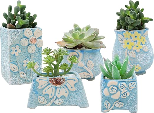XiaZ macetas de cerámica para plantas suculentas, juego de 5 ...