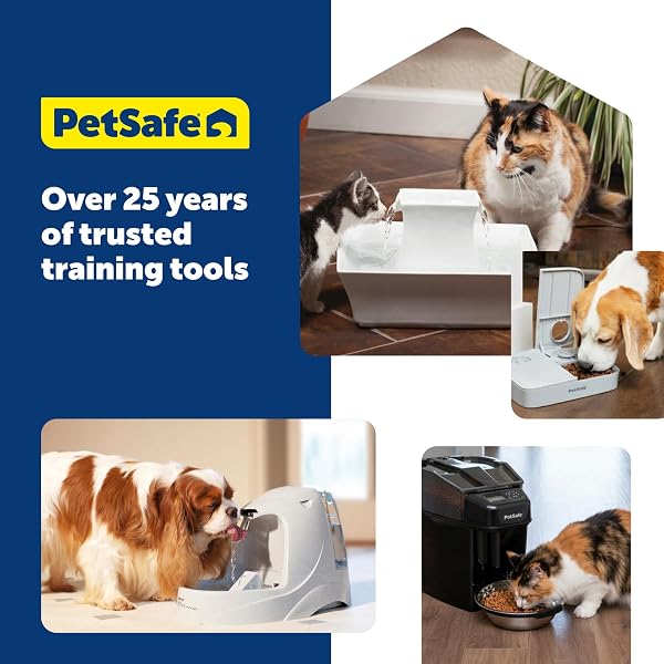 PETSAFE VIVA PET FOUNTAIN FOR CATS AND DOGS 4.1L/140 OZ, INDOOR CAT WATER FOUNTAIN WITH ULTRA QUIET PUMP, DISHWASHER SAFE, EASY TO CLEAN, WATER FILTERS INCLUDED