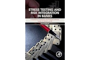 Stress Testing and Risk Integration in Banks: A Statistical Framework and Practical Software Guide (in Matlab and R)